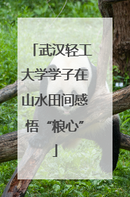 武汉轻工大学学子在山水田间感悟“粮心”