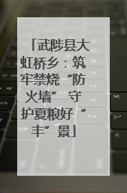 武陟县大虹桥乡：筑牢禁烧“防火墙” 守护夏粮好“丰”景