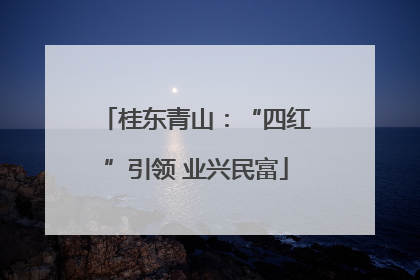桂东青山：“四红”引领 业兴民富