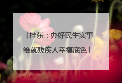 桂东：办好民生实事 绘就残疾人幸福底色