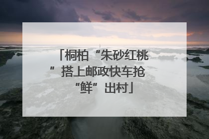桐柏“朱砂红桃”搭上邮政快车抢“鲜”出村