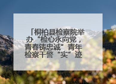 桐柏县检察院举办“检心永向党，青春铸忠诚”青年检察干警“实”迹展示活动