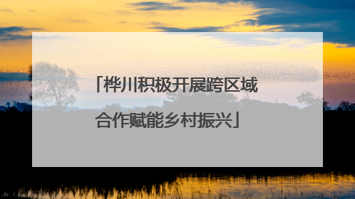 桦川积极开展跨区域合作赋能乡村振兴