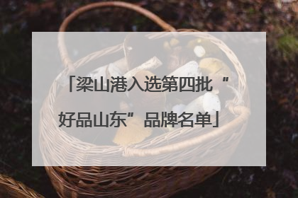 梁山港入选第四批“好品山东”品牌名单