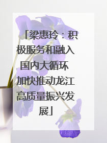 梁惠玲：积极服务和融入国内大循环 加快推动龙江高质量振兴发展