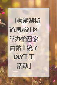 梅溪湖街道润龙社区举办怡智家园黏土镜子DIY手工活动