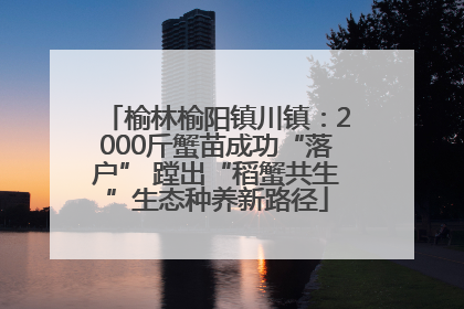 榆林榆阳镇川镇：2000斤蟹苗成功“落户” 蹚出“稻蟹共生”生态种养新路径