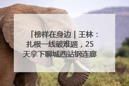 榜样在身边｜王林：扎根一线破难题，25天拿下聊城西站钢连廊“硬核”工程