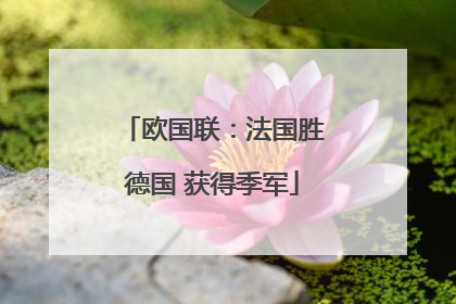 欧国联：法国胜德国 获得季军