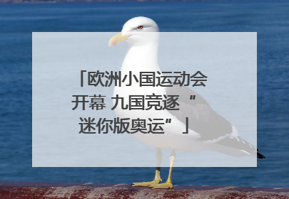 欧洲小国运动会开幕 九国竞逐“迷你版奥运”