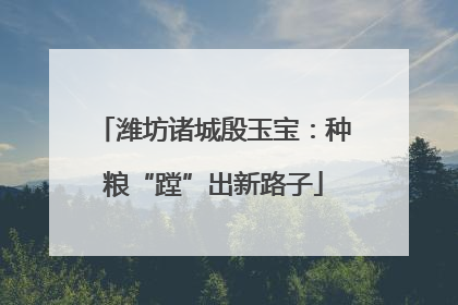 潍坊诸城殷玉宝：种粮“蹚”出新路子