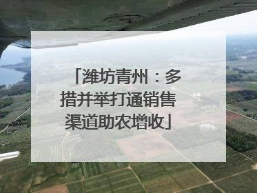 潍坊青州：多措并举打通销售渠道助农增收