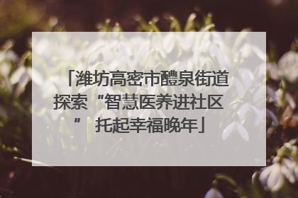 潍坊高密市醴泉街道探索“智慧医养进社区” 托起幸福晚年