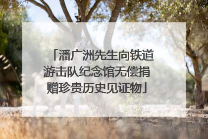 潘广洲先生向铁道游击队纪念馆无偿捐赠珍贵历史见证物