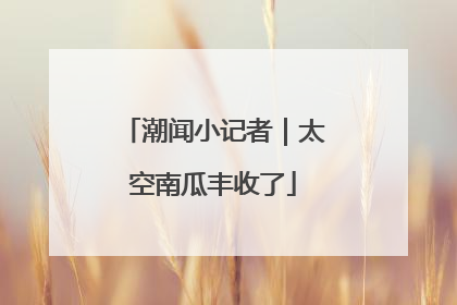 潮闻小记者｜太空南瓜丰收了