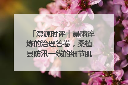 澧源时评｜暴雨淬炼的治理答卷，桑植县防汛一线的细节肌理与体系力量