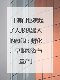 澳门也凑起了人形机器人的热闹：孵化、早期投资与量产