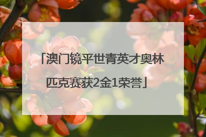 澳门镜平世青英才奥林匹克赛获2金1荣誉