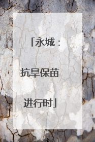 永城：抗旱保苗进行时