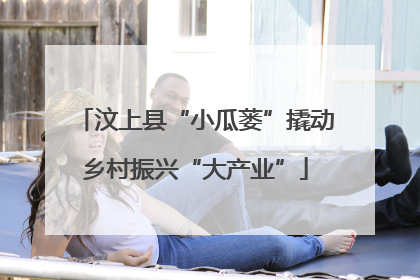 汶上县“小瓜蒌”撬动乡村振兴“大产业”
