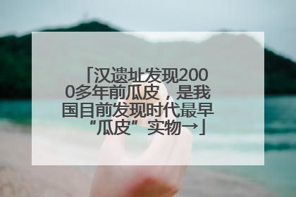 汉遗址发现2000多年前瓜皮，是我国目前发现时代最早“瓜皮”实物→