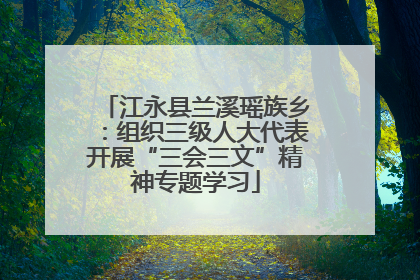 江永县兰溪瑶族乡：组织三级人大代表开展“三会三文”精神专题学习