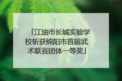 江油市长城实验学校斩获绵阳市首届武术联赛团体一等奖