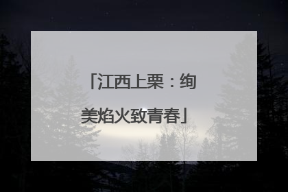 江西上栗：绚美焰火致青春