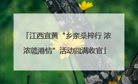 江西宜黄“乡亲桑梓行 浓浓赣港情”活动圆满收官