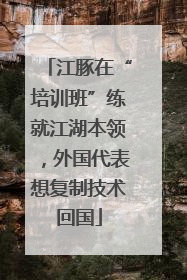 江豚在“培训班”练就江湖本领，外国代表想复制技术回国