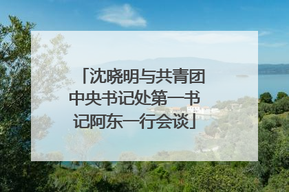 沈晓明与共青团中央书记处第一书记阿东一行会谈