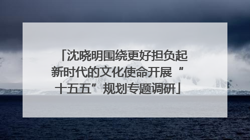 沈晓明围绕更好担负起新时代的文化使命开展“十五五”规划专题调研