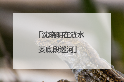 沈晓明在涟水娄底段巡河