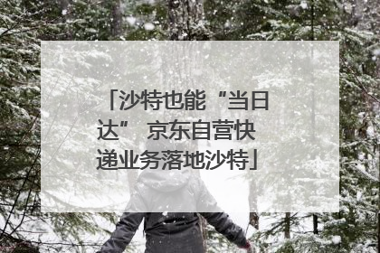 沙特也能“当日达” 京东自营快递业务落地沙特
