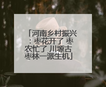 河南乡村振兴：枣花开了 枣农忙了 川塬古枣林一派生机