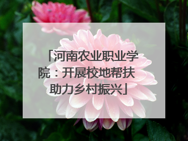 河南农业职业学院：开展校地帮扶 助力乡村振兴