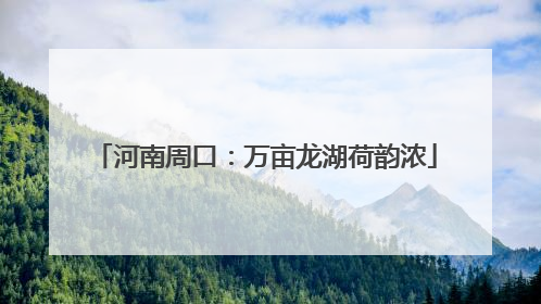 河南周口：万亩龙湖荷韵浓