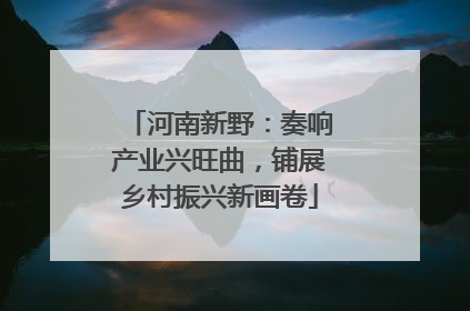 河南新野：奏响产业兴旺曲，铺展乡村振兴新画卷