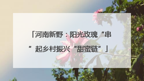 河南新野：阳光玫瑰“串”起乡村振兴“甜蜜链”
