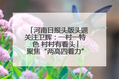 河南日报头版头题关注卫辉：一村一特色 村村有看头 ︳聚焦“两高四着力”·一“县”观察