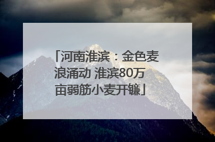 河南淮滨：金色麦浪涌动 淮滨80万亩弱筋小麦开镰