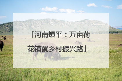 河南镇平：万亩荷花铺就乡村振兴路