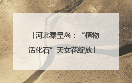河北秦皇岛：“植物活化石”天女花绽放