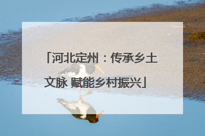 河北定州：传承乡土文脉 赋能乡村振兴