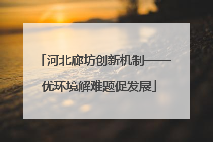 河北廊坊创新机制——优环境解难题促发展