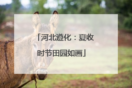 河北遵化：夏收时节田园如画