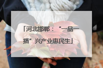 河北邯郸：“一品一播”兴产业惠民生