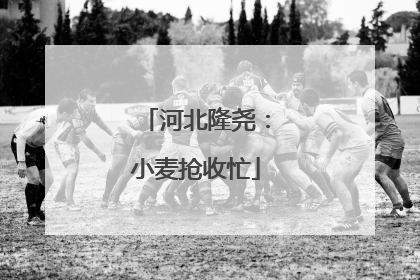 河北隆尧：小麦抢收忙
