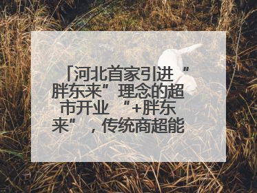 河北首家引进“胖东来”理念的超市开业 “+胖东来”，传统商超能否成功突围？