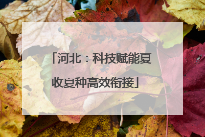 河北：科技赋能夏收夏种高效衔接